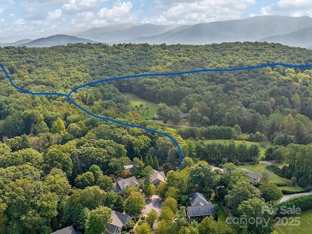 18 Ozark Spring Ln, Asheville, NC 28805 - photo 42