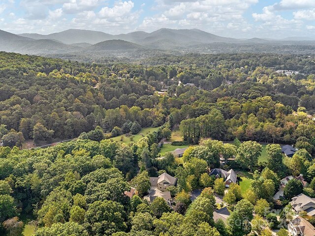 18 Ozark Spring Ln, Asheville, NC 28805 - photo 43