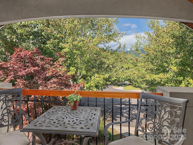 18 Ozark Spring Ln, Asheville, NC 28805 - photo 19