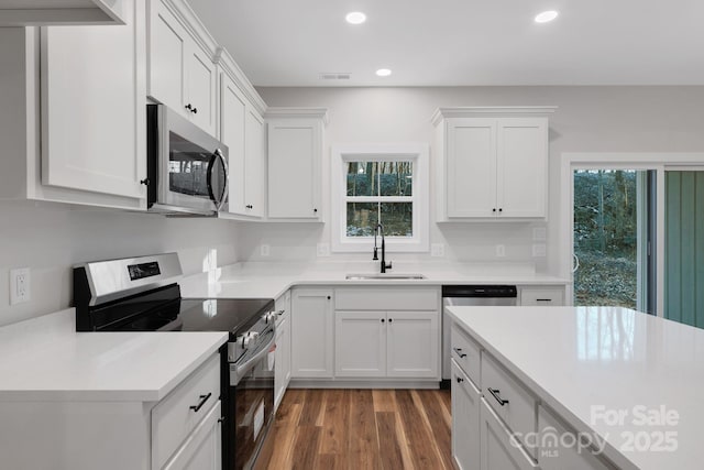252 Big Lick Rd, Stanfield, NC 28163 - kitchen featuring recessed lighting, a wealth of natural light, appliances with stainless steel finishes, and a sink