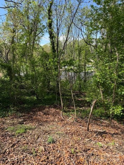 99999 Reese St, Woodfin, NC 28804 - photo 1