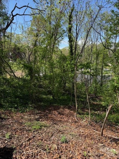 99999 Reese St, Woodfin, NC 28804 - photo 2