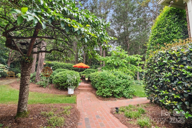 3420 Maryhurst Ln, Charlotte, NC 28226 - view of surrounding community