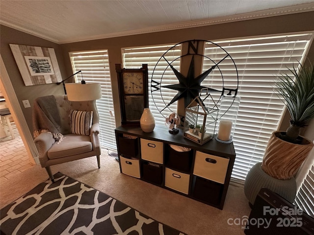 127 Hummingbird Cir, New London, NC 28127 - living area with ornamental molding and carpet flooring