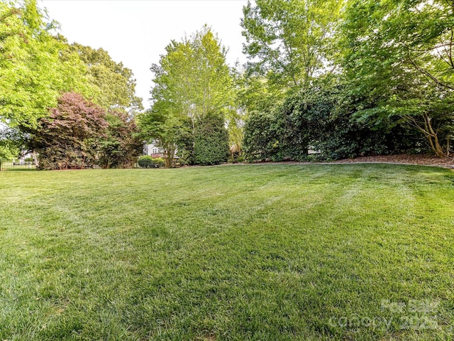 6005 Abergele Ln, Matthews, NC 28104 - view of yard