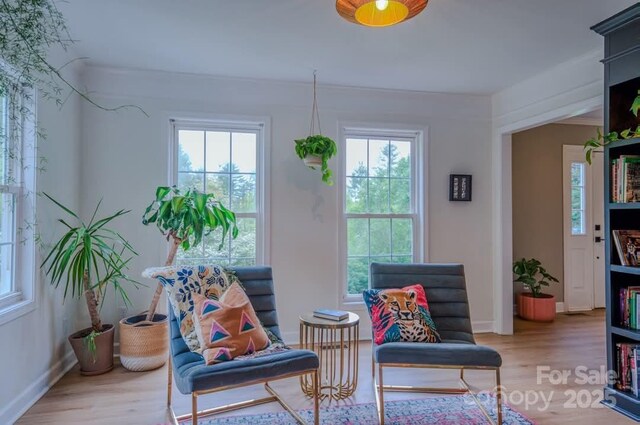 sitting room featuring baseboards, wood finished floors, and a wealth of natural light