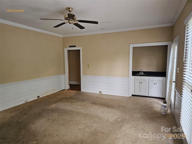spare room with a healthy amount of sunlight, a wainscoted wall, crown molding, and carpet