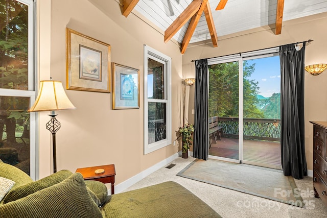 300 Falls View Dr, Lake Toxaway, NC 28774 - doorway featuring carpet and baseboards