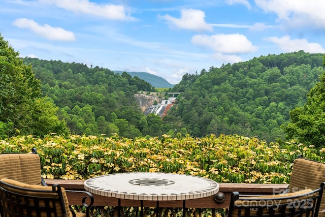 300 Falls View Dr, Lake Toxaway, NC 28774 - view of patio / terrace featuring a view of trees