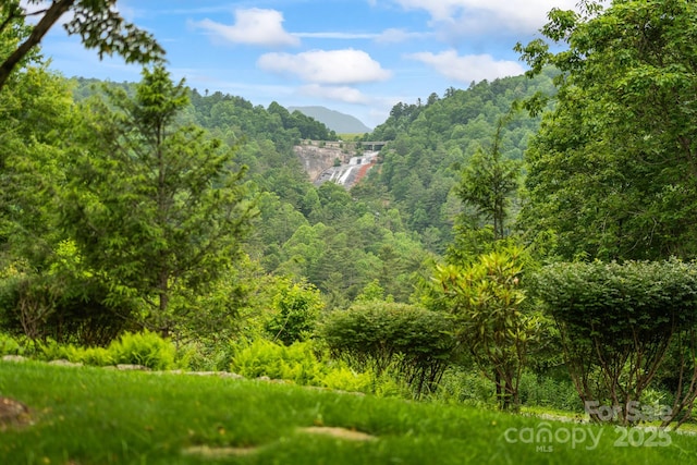 300 Falls View Dr, Lake Toxaway, NC 28774 - view of mountain background featuring a forest
