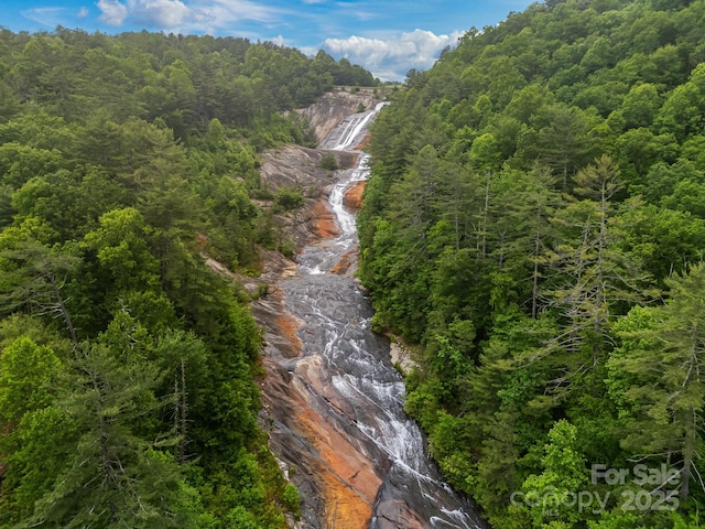 300 Falls View Dr, Lake Toxaway, NC 28774 - aerial view of property and surrounding area featuring a forest
