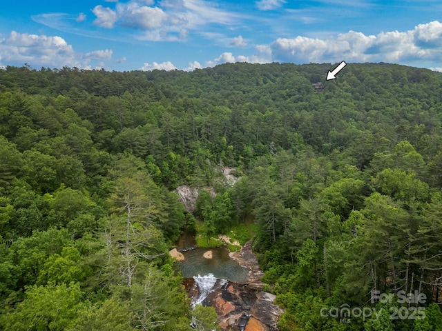 300 Falls View Dr, Lake Toxaway, NC 28774 - aerial overview of property's location featuring a forest