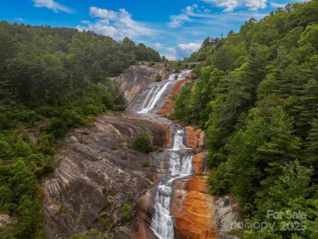 300 Falls View Dr, Lake Toxaway, NC 28774 - view of property location featuring a forest