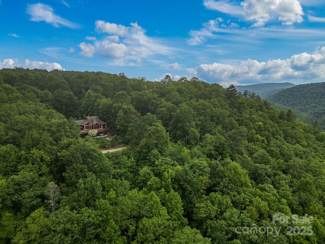 300 Falls View Dr, Lake Toxaway, NC 28774 - view of mountain backdrop featuring a forest