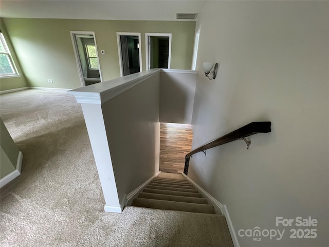 stairs featuring baseboards, visible vents, a wealth of natural light, and carpet floors