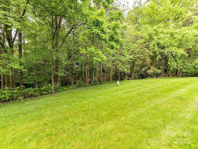 6645 Gaywind Dr, Charlotte, NC 28226 - photo 48