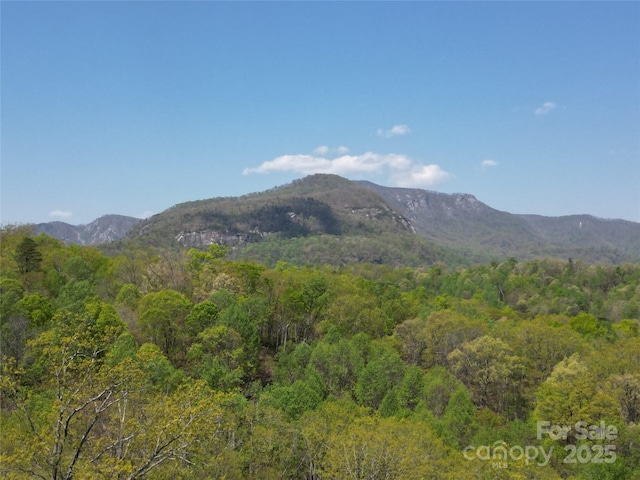 LOT35 High Rock Rdg, Lake Lure, NC 28746