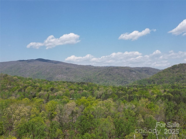 LOT35 High Rock Rdg, Lake Lure, NC 28746