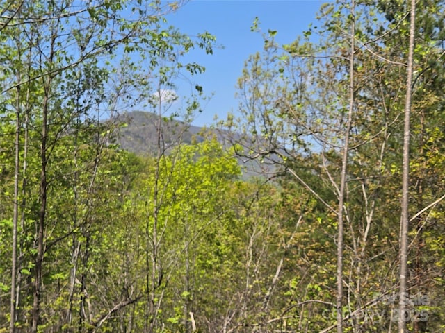 LOT35 High Rock Rdg, Lake Lure, NC 28746