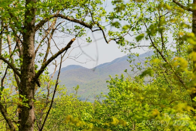 view of mountain feature