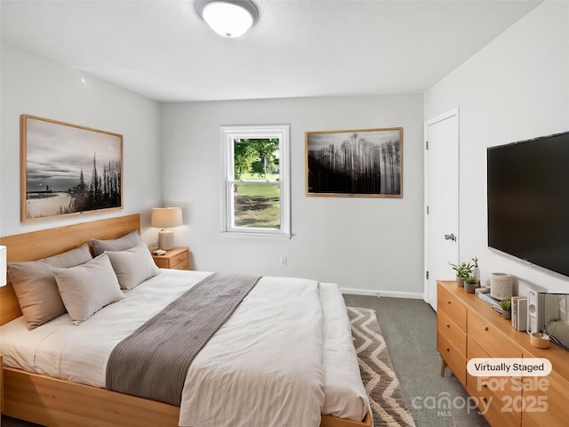 269 Bud Black Rd, Crouse, NC 28033 - bedroom featuring baseboards and carpet floors