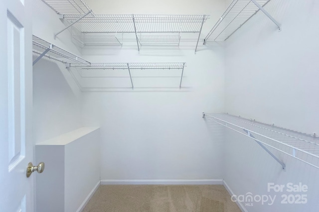 3226 Chatfield Ln SW, Concord, NC 28027 - spacious closet featuring carpet flooring
