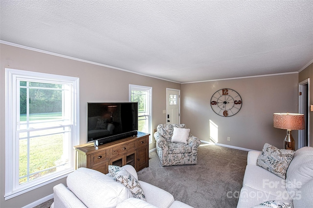 carpeted living room with a wealth of natural light, crown molding, and a textured ceiling