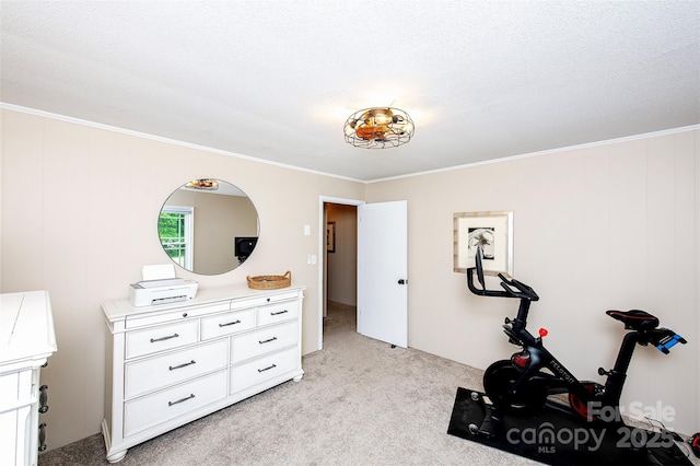 workout area featuring light carpet and crown molding