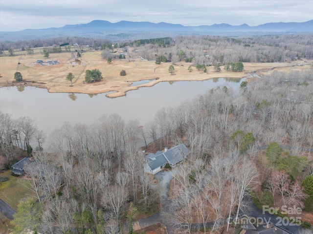 98 Fox Trl, Tryon, NC 28782 - drone / aerial view with a water and mountain view