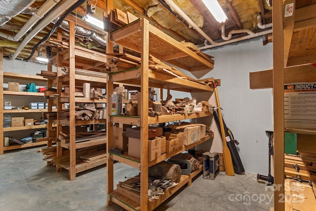 98 Fox Trl, Tryon, NC 28782 - view of storage area