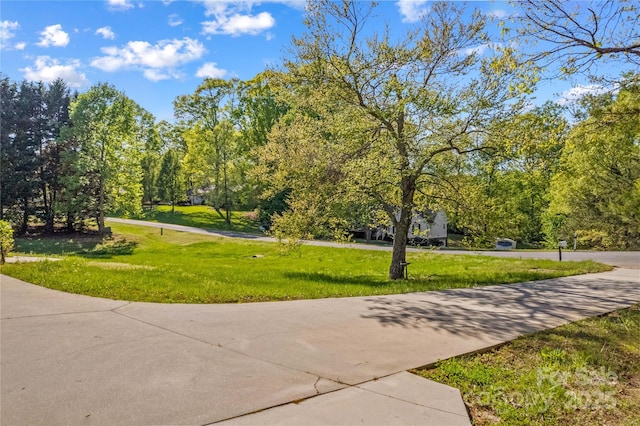view of community featuring a yard