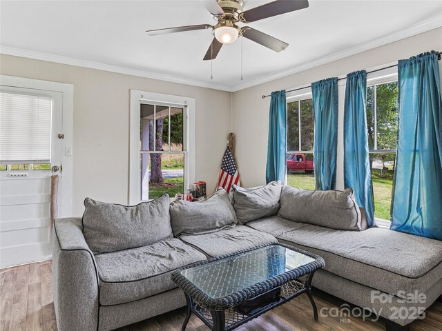 137 Clements Rd, Rutherfordton, NC 28139 - photo 5