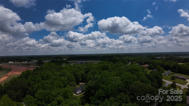 432 Partridge Pl, York, SC 29745 - drone / aerial view of a forest