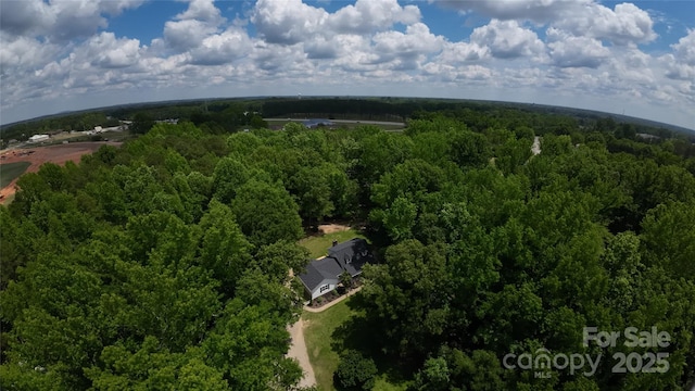 432 Partridge Pl, York, SC 29745 - bird's eye view of a heavily wooded area