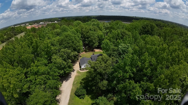 432 Partridge Pl, York, SC 29745 - bird's eye view of a heavily wooded area