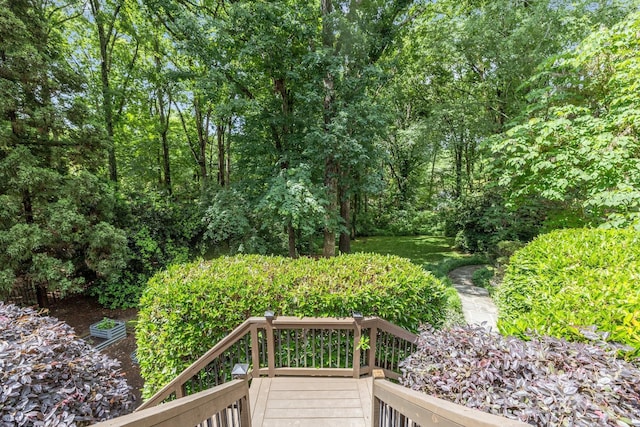 6824 N Baltusrol Ln, Charlotte, NC 28210 - view of yard