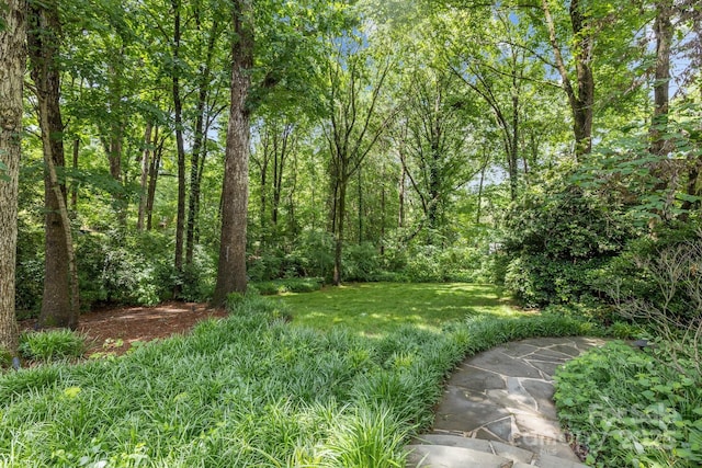 6824 N Baltusrol Ln, Charlotte, NC 28210 - view of yard