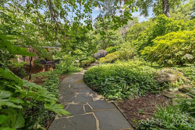 6824 N Baltusrol Ln, Charlotte, NC 28210 - view of yard