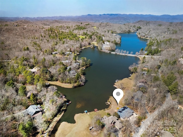 61 Tsataga Ct, Brevard, NC 28712 - birds eye view of property with a wooded view and a water and mountain view