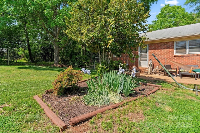 view of yard with entry steps