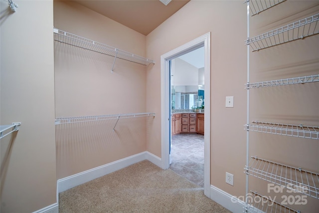 walk in closet with carpet floors