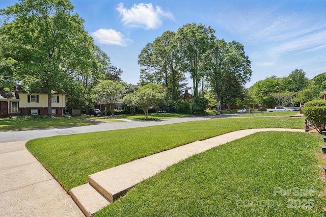 view of community with a yard