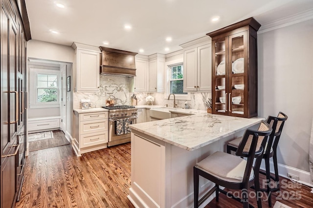 kitchen with light stone counters, a sink, premium range hood, a peninsula, and stainless steel stove