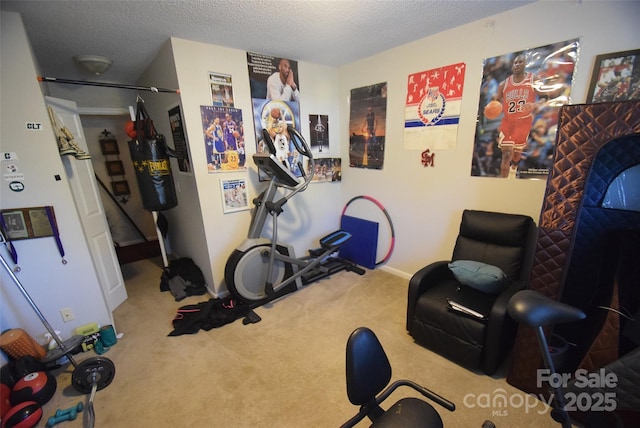 exercise area with baseboards, carpet floors, and a textured ceiling