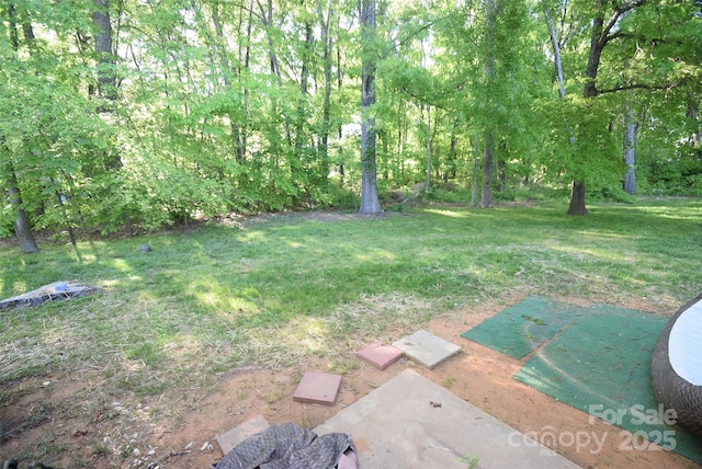 view of yard