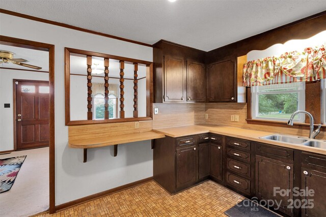 543 18th St NW, Hickory, NC 28601 - kitchen with a sink, light countertops, dark brown cabinetry, and crown molding