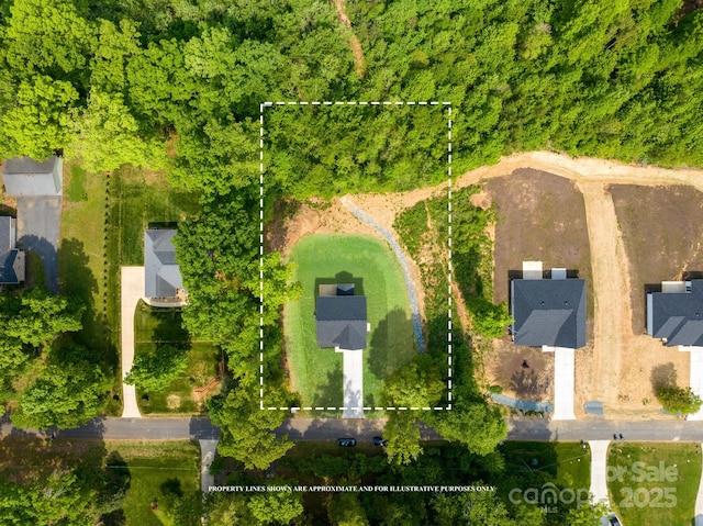 drone / aerial view