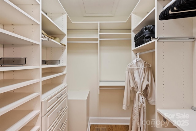 walk in closet with wood finished floors