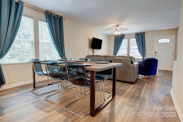 809 Fisher St, Concord, NC 28027 - dining space featuring wood finished floors and a ceiling fan