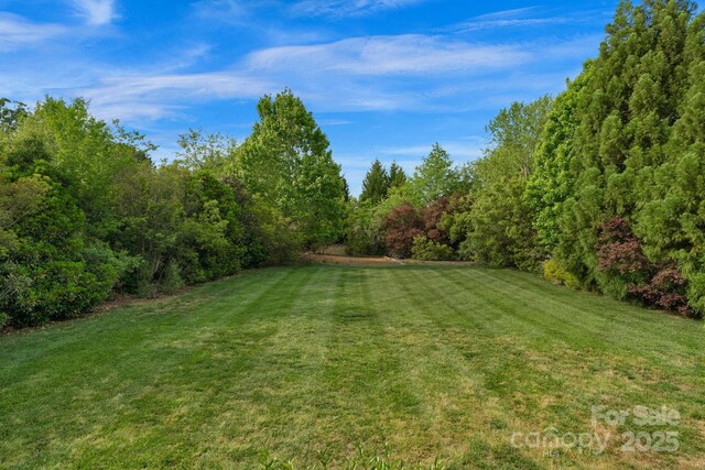 1116 Crooked River Dr, Waxhaw, NC 28173 - photo 8